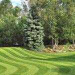 Landscape Maintenance - Calgary Landscape Maintenance